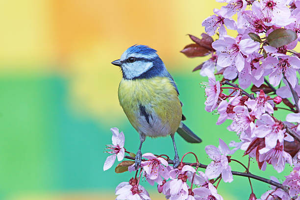 Người sinh vào ngày Âm lịch này có dũng khí kiếm tiền, ngày càng phát đạt Nguoi sinh vao ngay Am lich nay co dung khi kiem tien, ngay cang phat dat