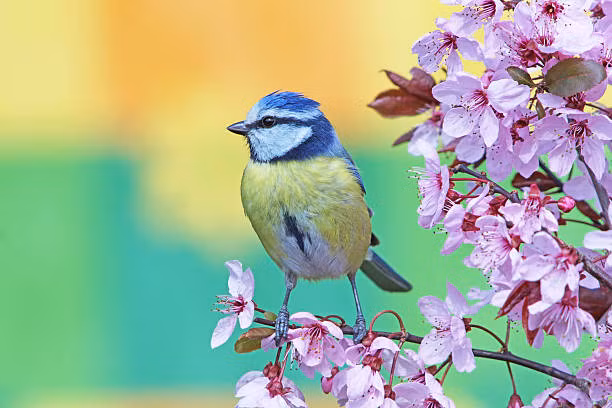 Nguoi sinh vao ngay Am lich nay co dung khi kiem tien, ngay cang phat dat