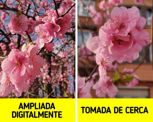 Huong dan chi tiet cach chup anh chat luong bang dien thoai-Hinh-2