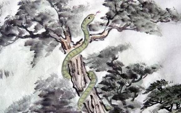 Kể từ trung niên trở đi, họ sẽ nắm trong tay của cải đáng ngưỡng mộ, gia đình hạnh phúc, con cái ngoan ngoãn. Nói chung, họ có một tuổi già phúc lộc đầy nhà, sống sung túc và trường thọ.