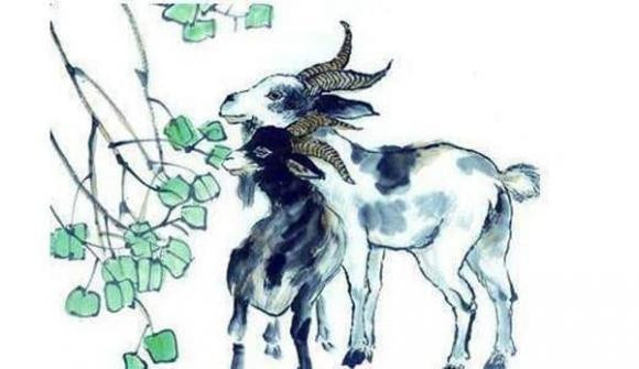 Nhìn chung, tuổi già họ sẽ sống thoải mái, không thiếu tiền bạc và đặc biệt sống thọ.