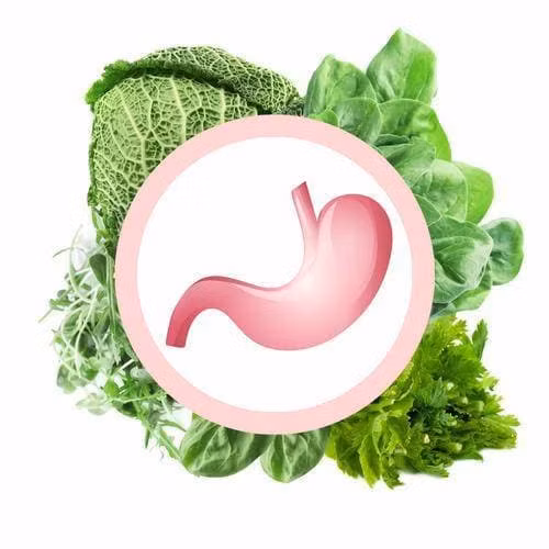 Bat ngo loat thuc pham la “vien bo duong da day tu nhien”