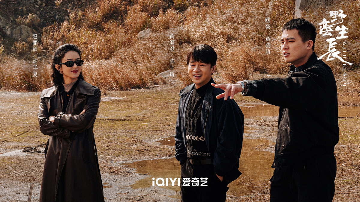 Phim lấy bối cảnh thập niên 90, nữ chính Hứa Bán Hạ vừa được sinh ra đời thì mẹ cô đã mất vì khó sinh. Vì vậy, cha cô hận con gái, luôn đối xử khắc nghiệt với Hứa Bán Hạ. Theo sự phát triển của nền kinh tế Trung Quốc, Hứa Bán Hạ và hai người anh em Tiểu Trần (Huỳnh Trừng Trừng), Đồng Kiêu Kỵ (Âu Hào) cùng nhau thực hiện việc kinh doanh vận chuyển phế liệu. Sau đó, dựa vào kinh nghiệm của mình, cô từng bước tiến vào ngành công nghiệp thép.