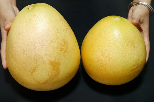 Mua bưởi nên chọn quả nhọn hay tròn là ngon nhất? Mua buoi nen chon qua nhon hay tron la ngon nhat?