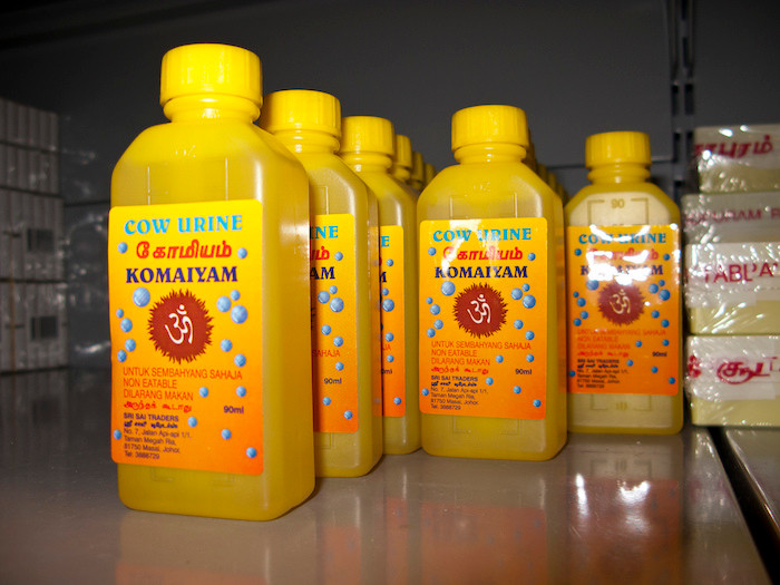 7. Cow Urine Soda - Ấn Độ: Đây là một loại nước ngọt có chứa nước tiểu bò. Điều này không có gì lạ trong văn hóa Ấn Độ giáo vì họ đã sử dụng nguyên liệu này như một phương thuốc truyền thống trong nhiều thế kỷ do tính chất thiêng liêng của loài bò.