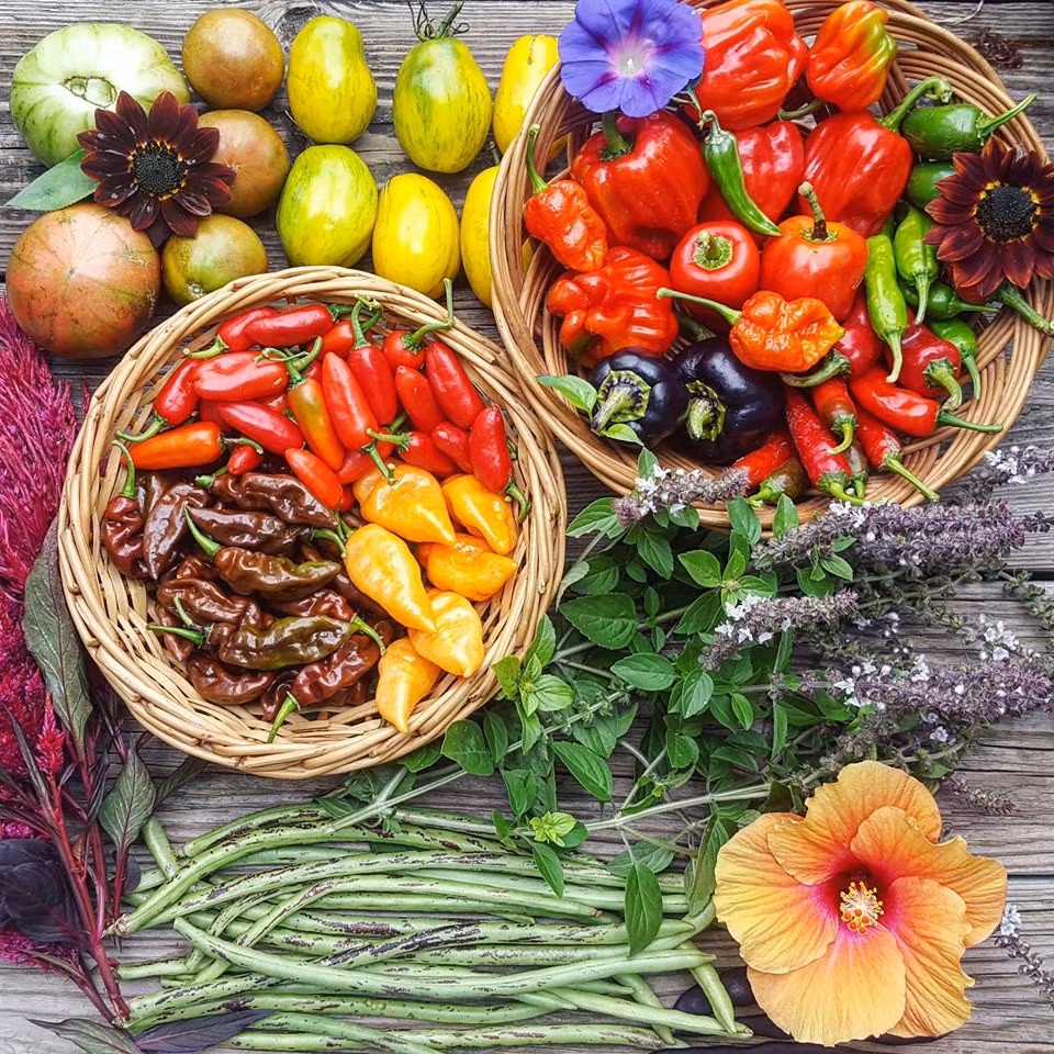 Co gai nghi viec, ve que so huu khu vuon day rau cu-Hinh-5