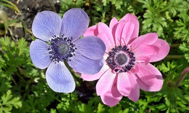 Nguoi sinh 3 thang Am lich nay nhan thuong lon, tuong lai khong phu cung quy