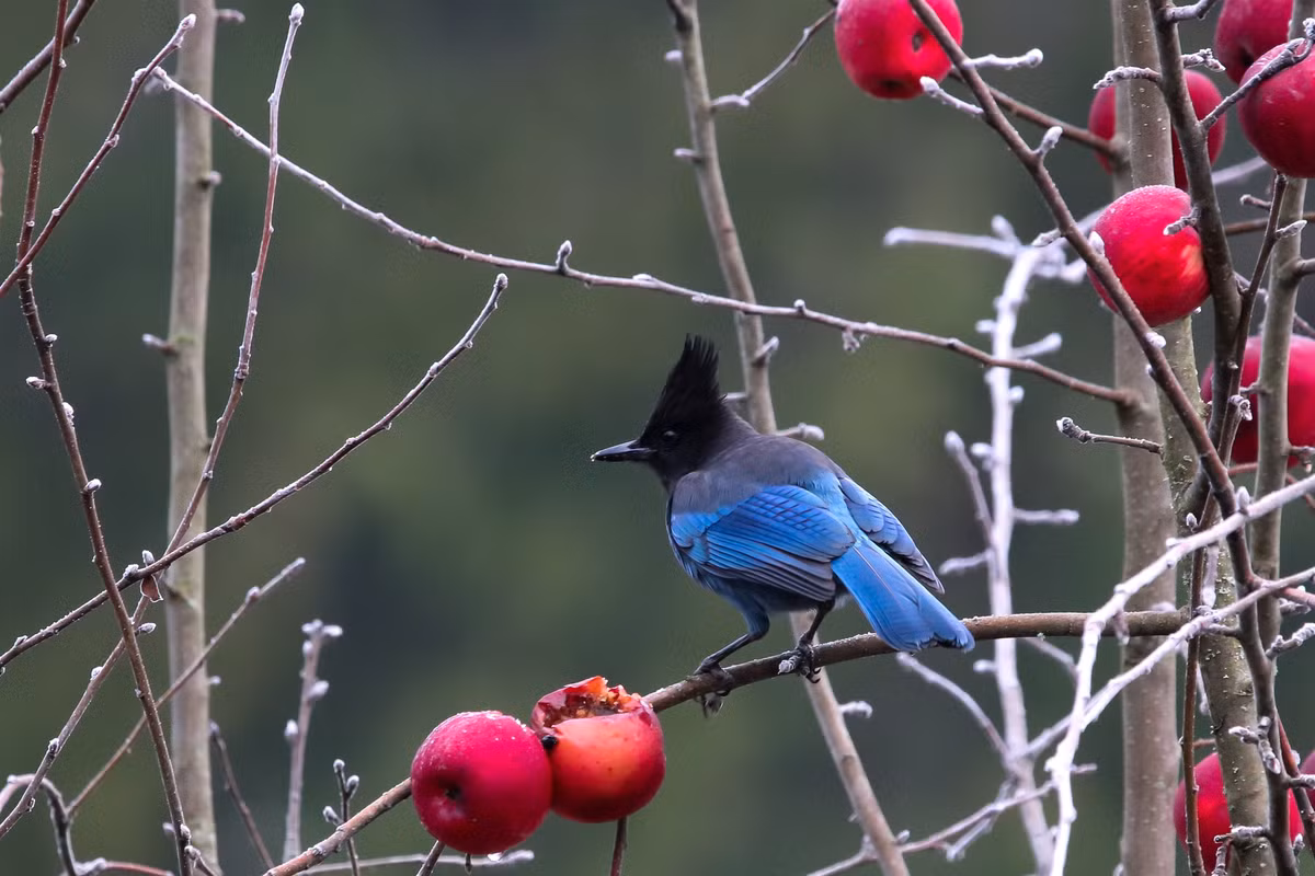 Con giap tuoi Tuat sinh thang Am lich nay gap nhieu may man