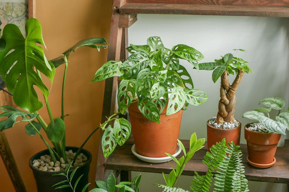 Chi tien sua nha dep de co hung chay deadline-Hinh-8