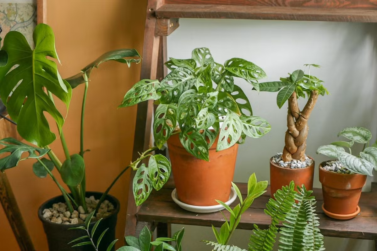 Chi tien sua nha dep de co hung chay deadline-Hinh-8