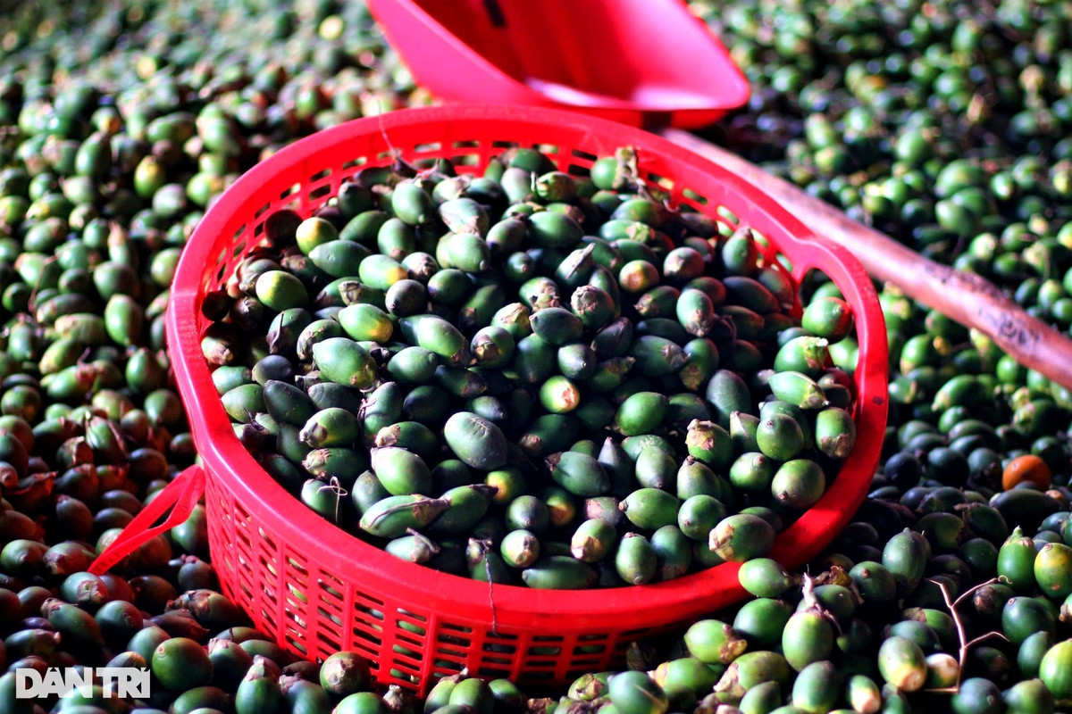 Trong cau kin doi nong dan dem tien deu tay-Hinh-4