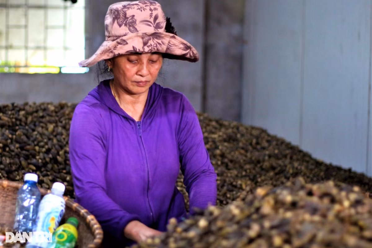 Trong cau kin doi nong dan dem tien deu tay-Hinh-6