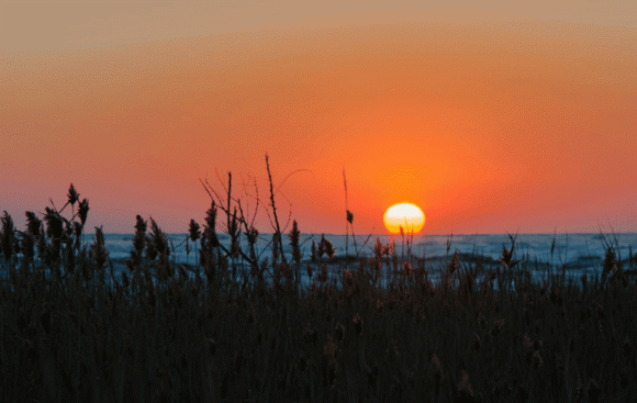 5 kiểu người này rất dễ gặp may mắn và tài lộc 5 kieu nguoi nay rat de gap may man va tai loc