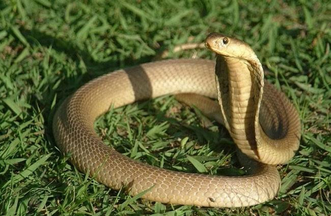 Ngày này nguy hại lớn nhất là hạn đụng độ tiểu nhân, đối phương trong tối, ngoài sáng nên khiến bạn khó có thể nhận ra. Người này ngoài mặt tỏ vẻ thân thiết, quan tâm bạn nhưng thực tâm bên trong lại ganh ghét, đố kỵ mà muốn lật đổ bạn khỏi tập thể.