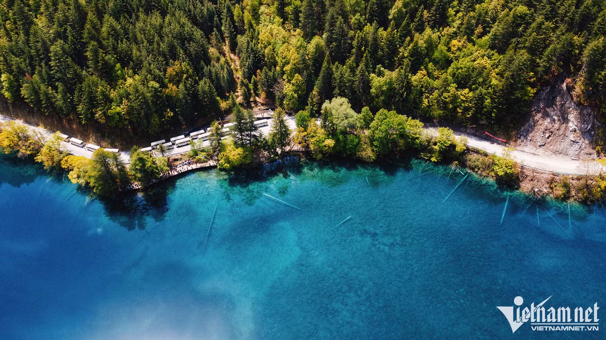 Nơi đây có hơn 220 loài chim cũng như một số loài thực vật và động vật quý hiếm như gấu trúc khổng lồ, khỉ vàng Tứ Xuyên.