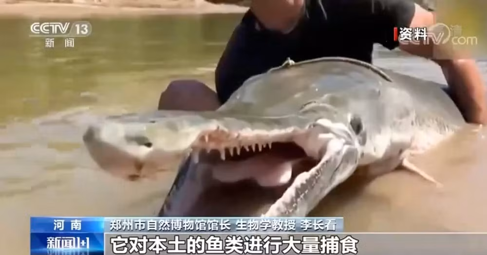 Trung Quoc hut can hon 200.000m3 nuoc bat ca 'quai vat'