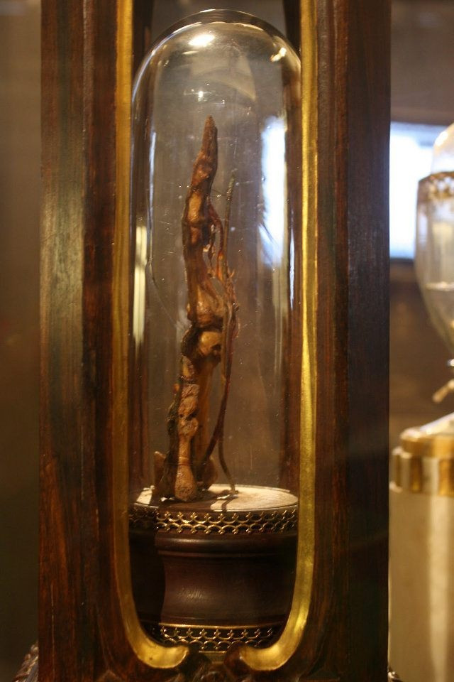 Khi phát hiện ra nguồn gốc, người mua đã trả lại các ngón tay và răng cho Bảo tàng Khoa học, nơi chúng được xác nhận trùng khớp với mô tả chi tiết từ lần cuối được nhìn thấy. Ảnh: Reuters.