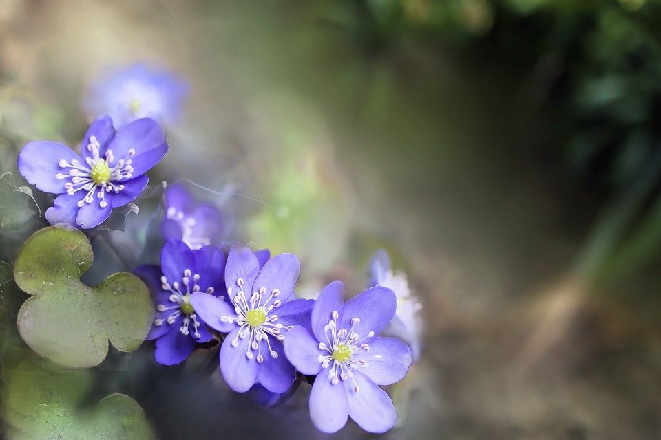 Sinh vào 6 ngày Âm lịch này, sau 30 tuổi tiền đếm mỏi tay - Hình 3 Sinh vao 6 ngay Am lich nay, sau 30 tuoi tien dem moi tay-Hinh-3