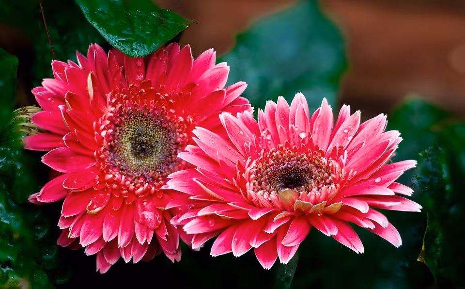 Sinh vao 6 ngay Am lich nay, sau 30 tuoi tien dem moi tay