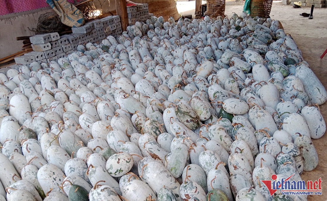 Tram tan bi xanh 5.000 dong/kg chang ai mua-Hinh-2