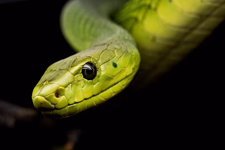 Từ ngày 18/2, 3 con giáp vượng vận quý nhân, chắc chắn giàu - Hình 3 Tu ngay 18/2, 3 con giap vuong van quy nhan, chac chan giau-Hinh-3