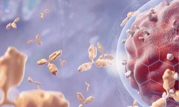 Nen cat bo 3 loai polyp de tranh nguy co ung thu