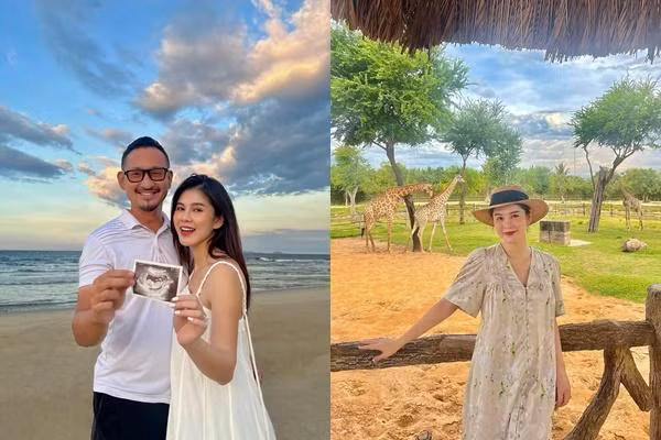 Khi me bau do sac: MC Thu Hoai va Phanh Lee ai dinh hon?-Hinh-2