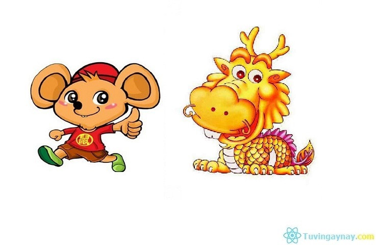 Trong khi đó, những người tuổi Thìn lại biết thu vén gia đình, còn người tuổi Thìn ít khi để ý đến những việc nhỏ nhặt, thường hay nghĩ lớn làm lớn, không quan tâm nhiều đến tiền bạc. Bởi vậy, gia đình có Tý và Thìn thì không bao giờ lo chết đói, ngược lại còn luôn êm ấm, hòa thuận, sung túc, thậm chí là giàu có.