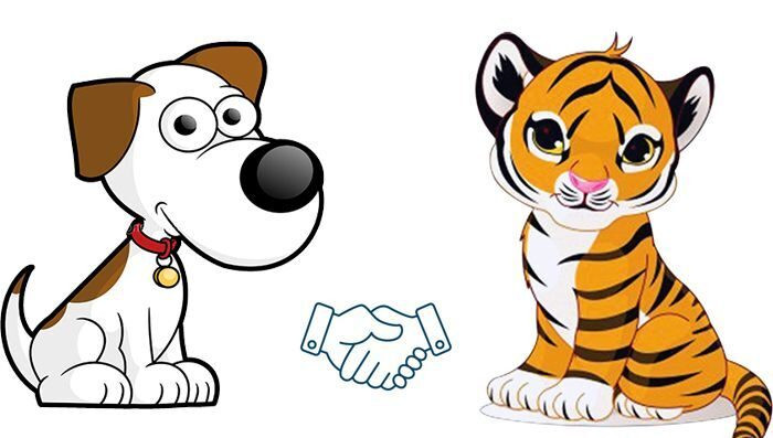 Người tuổi Tuất luôn cần một người bạn đời mạnh mẽ, ấm áp, có thể bao dung chở che cho họ, và tuổi Dần chính là người họ mong muốn.