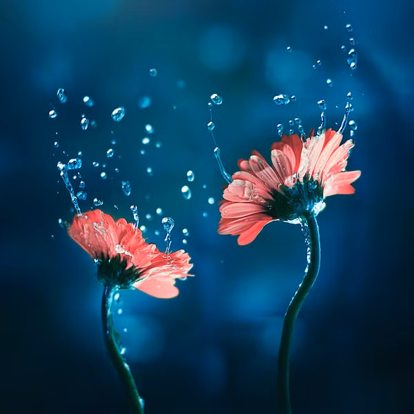 Từ đây, người sinh ngày Âm lịch này càng được "chắp cánh" để hướng đến thành công. Sự nghiệp của họ sẽ ngày càng khởi sắc.