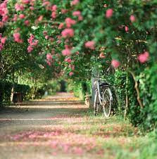 Những người sinh ngày Âm lịch này luôn tràn đầy năng lượng sống, họ luôn tỏ ra rất tự tin và tích cực tính cách khá dễ mến. Họ cũng không thiếu quý nhân giúp đỡ và cơ hội thành công, năm 2022 này nhất định được thăng quan tiến chức.