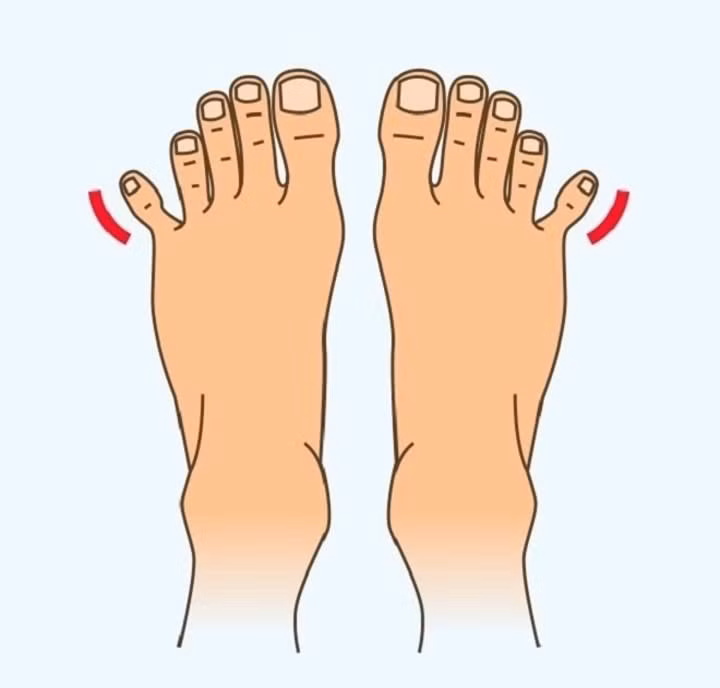  Ngón út có thể tách ra. Trái ngược hoàn toàn với trường hợp vừa nêu, người có kiểu bàn chân này luôn muốn có sự thay đổi trong cuộc sống, không thể ngồi yên một chỗ. Họ khá dễ tính và ưa phiêu lưu mạo hiểm. Cách tốt nhất để làm thân với những người như vậy là cùng làm một số việc mạo hiểm với họ.