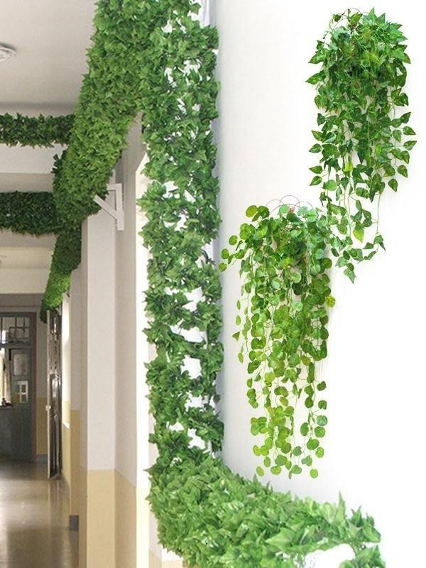 3 nguyen tac trong cay phong thuy tang van dao hoa thinh vuong-Hinh-2