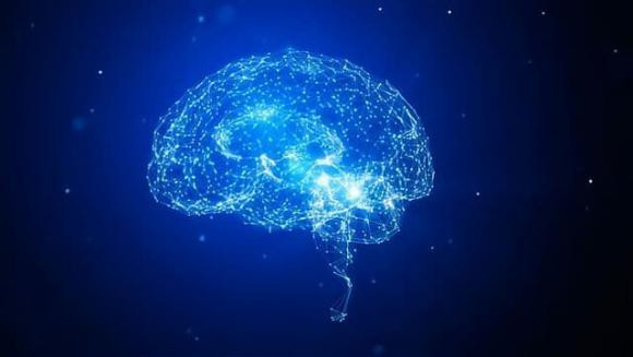 Điều đáng xấu hổ hơn là mặc dù con người chúng ta tự nhận mình có thể “lên trời”, nhưng cho đến nay, nhận thức của con người về bộ não của chính mình chỉ có thể coi là “biết chút” mà thôi, nên các nhà khoa học đã không đưa ra bất kỳ câu trả lời nào cho câu hỏi này. Câu trả lời chắc chắn, nhưng mọi người vẫn đưa ra một số suy đoán về nó, hãy cùng xem. 