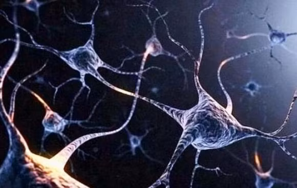 Dựa trên cơ sở này, có thể đưa ra một suy luận hợp lý: khi con người ngủ, không phải tất cả các nơron đều chuyển sang trạng thái không hoạt động, đến một lúc nào đó, một số nơron hoạt động sẽ tạo ra một số tín hiệu điện sinh học ngẫu nhiên, được truyền đến não sau, não sẽ thử để hiểu thông tin chúng mang theo, và vì bản thân các tín hiệu lộn xộn, bộ não xử lý chúng cũng lộn xộn, dẫn đến những giấc mơ lộn xộn.