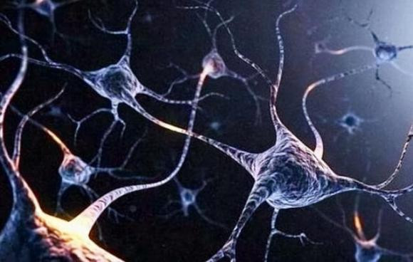 Dựa trên cơ sở này, có thể đưa ra một suy luận hợp lý: khi con người ngủ, không phải tất cả các nơron đều chuyển sang trạng thái không hoạt động, đến một lúc nào đó, một số nơron hoạt động sẽ tạo ra một số tín hiệu điện sinh học ngẫu nhiên, được truyền đến não sau, não sẽ thử để hiểu thông tin chúng mang theo, và vì bản thân các tín hiệu lộn xộn, bộ não xử lý chúng cũng lộn xộn, dẫn đến những giấc mơ lộn xộn.