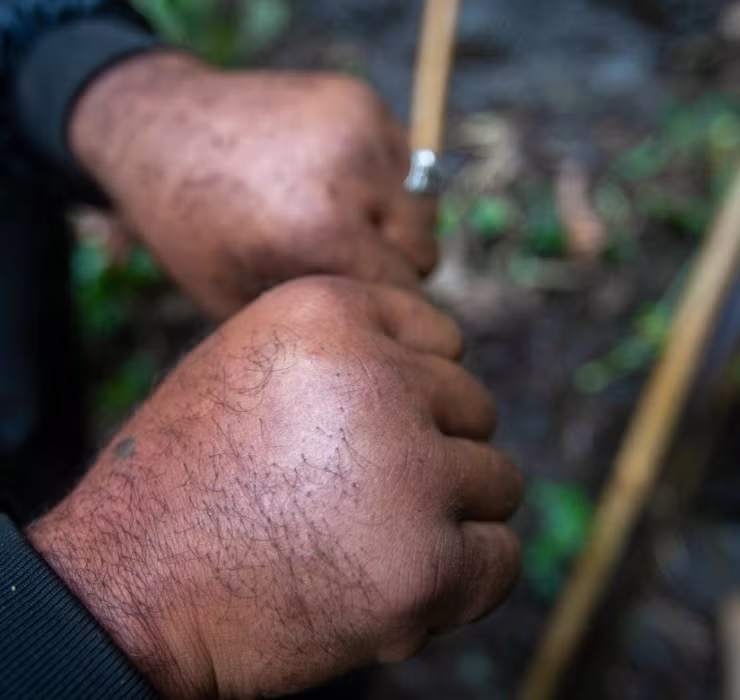 Leo vach da san cua bau, say chan la 