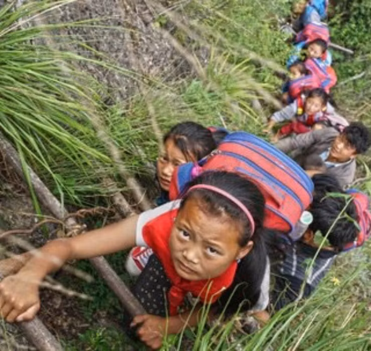 Leo vach da san cua bau, say chan la 