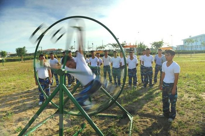 Luc luong nong cot trong dau tranh giai phong dan toc, bao ve To quoc-Hinh-19