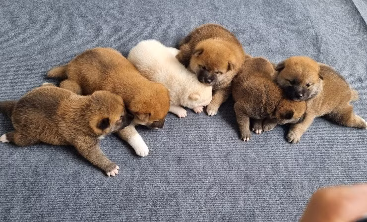 20 tuoi khoi nghiep voi 7 trieu dong, gio thu ve 150 trieu dong/thang-Hinh-5