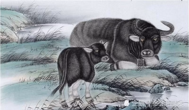 Đường tình duyên của người tuổi Sửu cũng diễn ra êm đẹp. Người độc thân có vận đào hoa phơi phới, đón nhận tình cảm mới, có thể tìm được một nửa cho riêng minh. Người có cặp có đôi càng thêm gắn bó, hạnh phúc. 