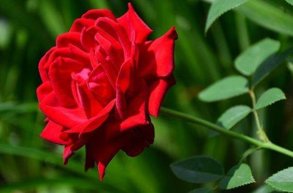 Sinh vào 5 ngày Âm lịch này, linh hoạt lại phản ứng nhanh - Hình 2 Sinh vao 5 ngay Am lich nay, linh hoat lai phan ung nhanh-Hinh-2