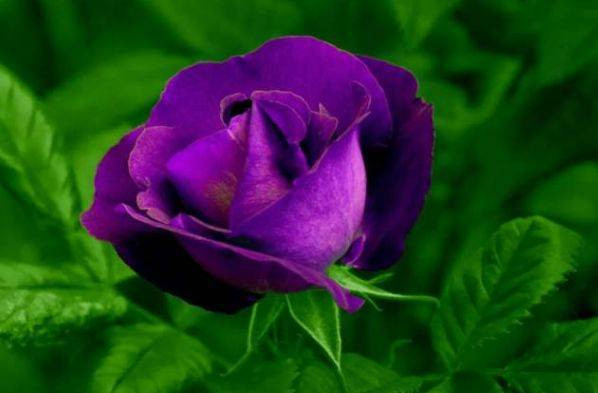 Sinh vào 5 ngày Âm lịch này, linh hoạt lại phản ứng nhanh Sinh vao 5 ngay Am lich nay, linh hoat lai phan ung nhanh