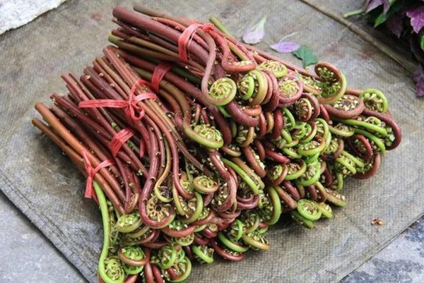 3 loai thuc pham khong nen an cung voi lac keo gay dau bung-Hinh-3