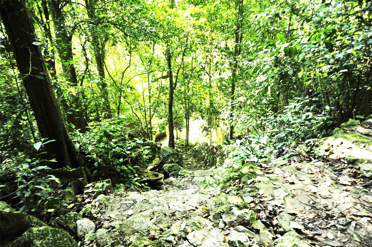 Khám phá động Người Xưa giữa lòng rừng nguyên sinh Cúc Phương ảnh 8