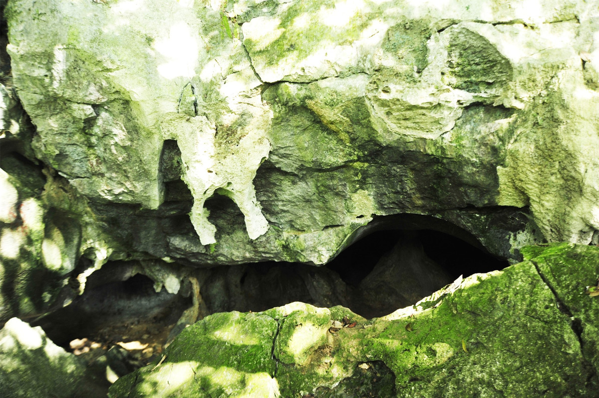 Khám phá động Người Xưa giữa lòng rừng nguyên sinh Cúc Phương ảnh 6