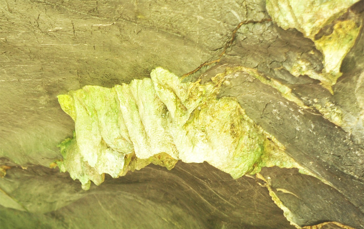 Khám phá động Người Xưa giữa lòng rừng nguyên sinh Cúc Phương ảnh 2