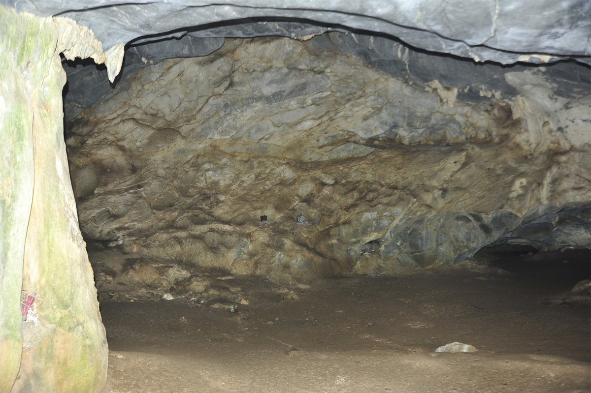 Khám phá động Người Xưa giữa lòng rừng nguyên sinh Cúc Phương ảnh 4