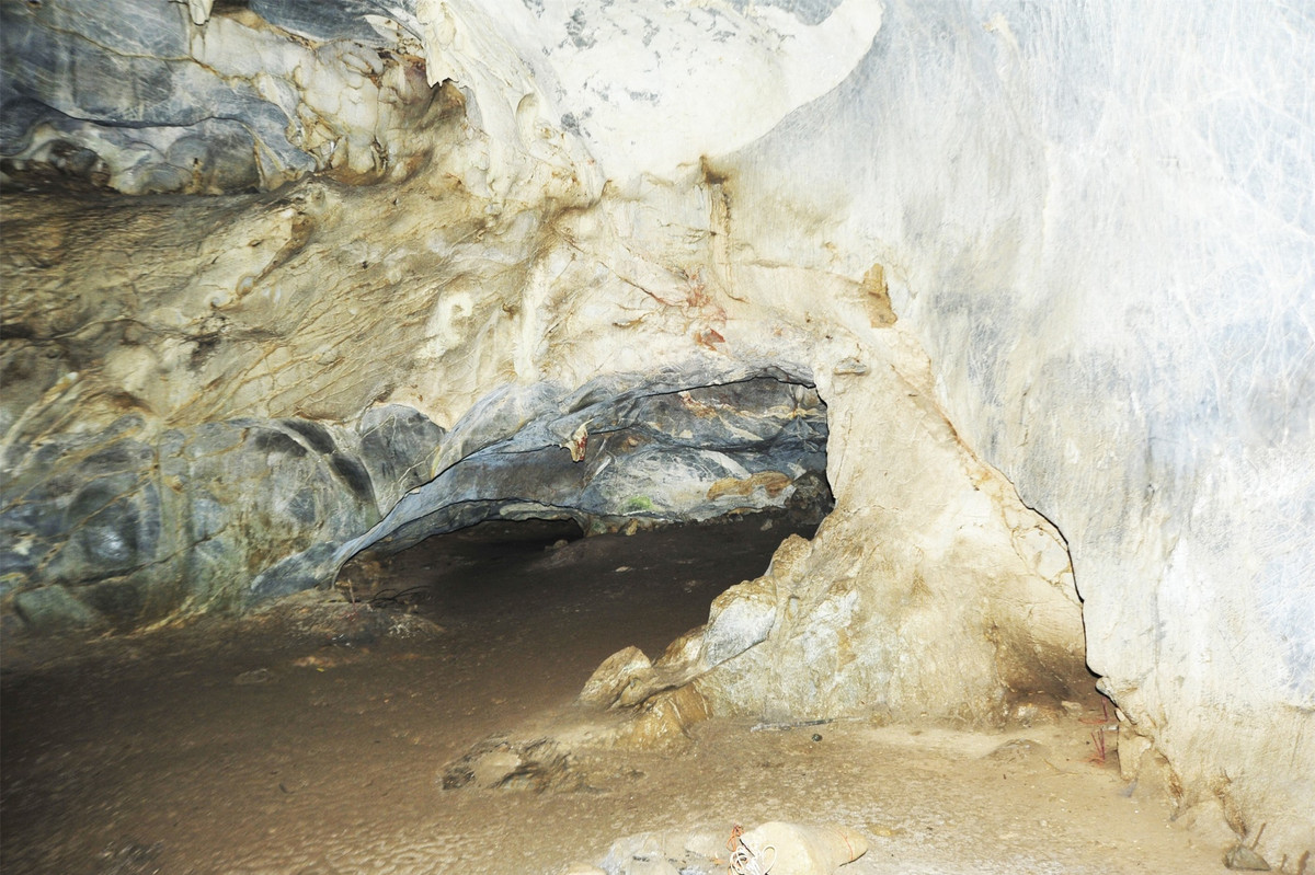 Khám phá động Người Xưa giữa lòng rừng nguyên sinh Cúc Phương ảnh 5