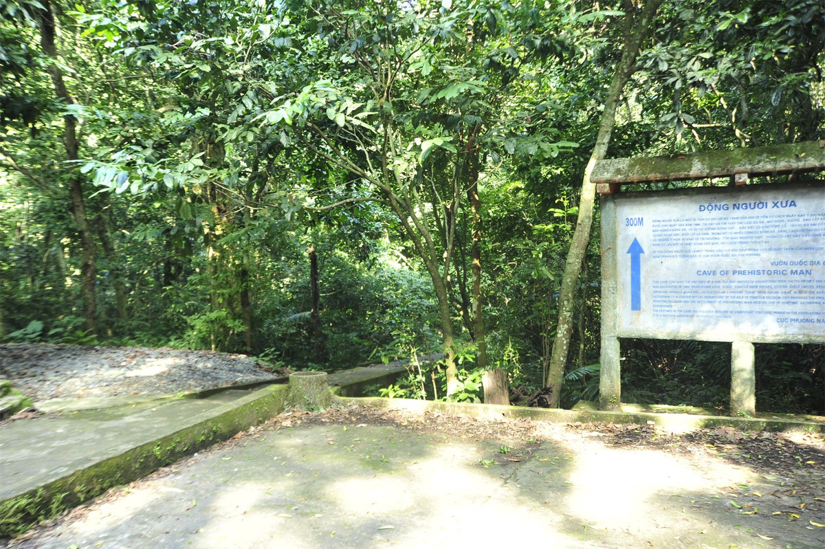 Khám phá động Người Xưa giữa lòng rừng nguyên sinh Cúc Phương ảnh 7